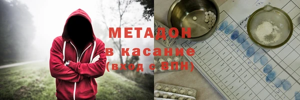 прущие грибы Алзамай