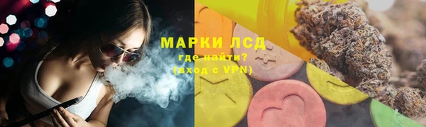 прущие грибы Алзамай