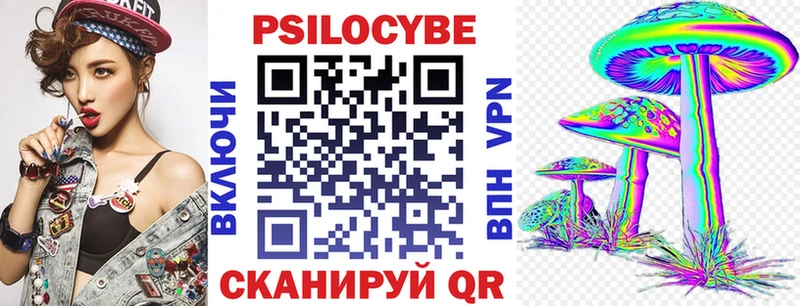 наркошоп Анадырь Псилоцибиновые грибы Psilocybe